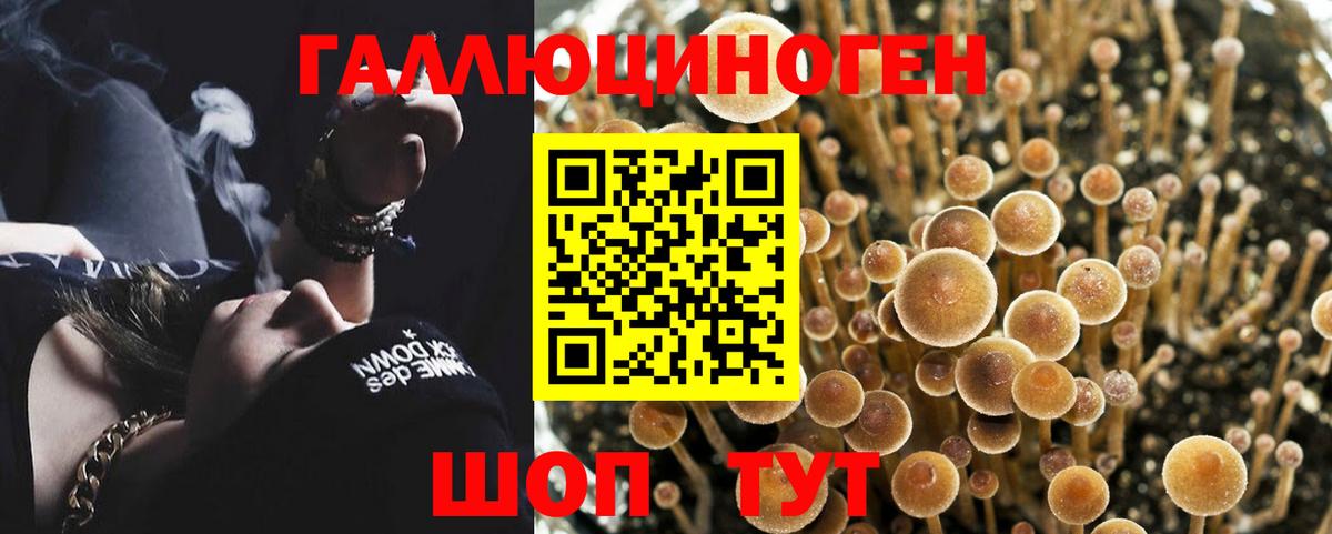 Галлюциногенные грибы Cubensis Карпинск